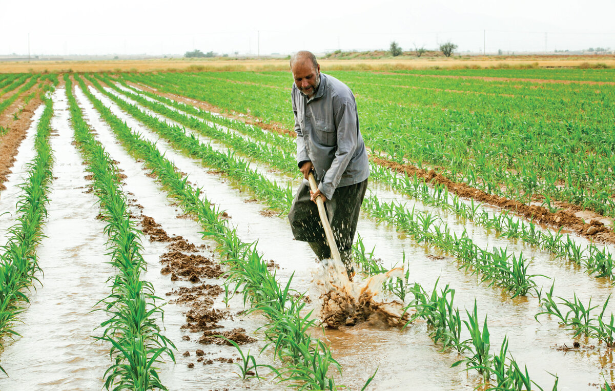 The Remarkable Crossroads of Nature and Industry